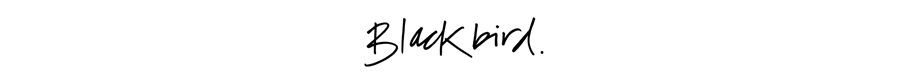 BlackbirdBLOG signature